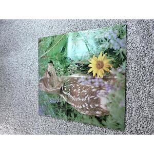 Vintage Fawn and Yellow Flower Poster